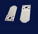 Semiconductor Sucking Plates For Wafer Handling Alumina Ceramic Spare Parts